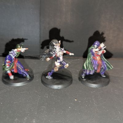 Witch Elf and Assassins