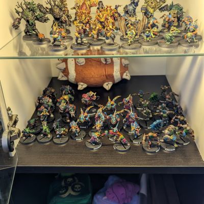 Blood Bowl Shelves