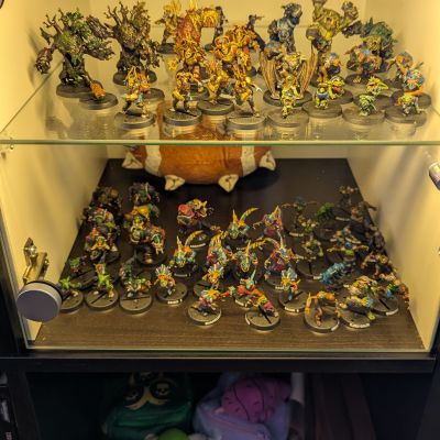 Blood Bowl Shelves