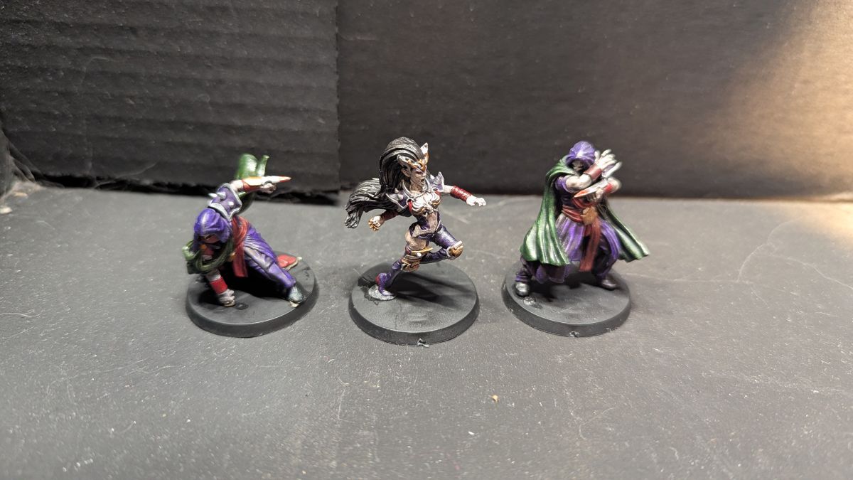 Witch Elf and Assassins