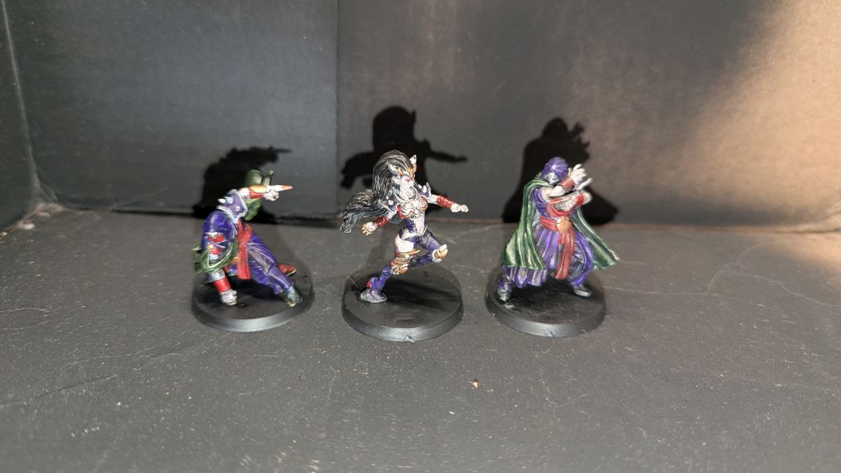 Witch Elf and Assassins