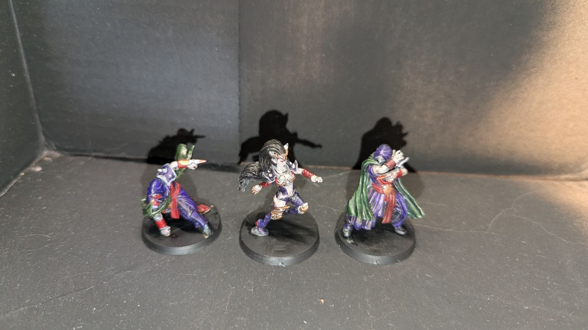 Witch Elf and Assassins