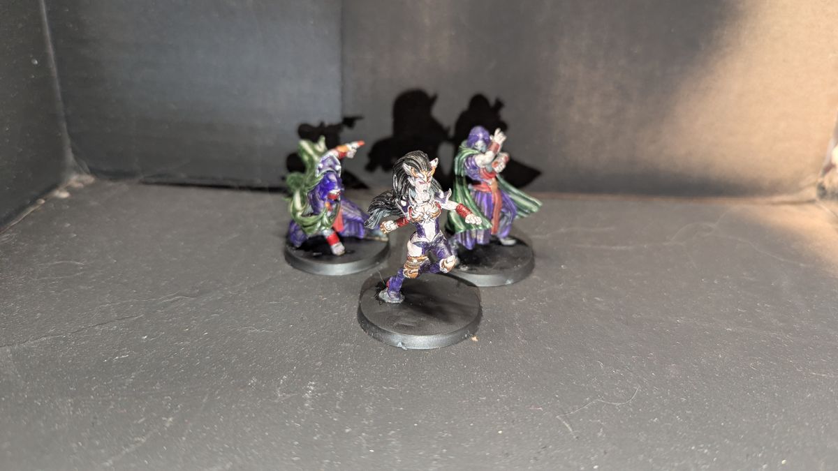 Witch Elf and Assassins