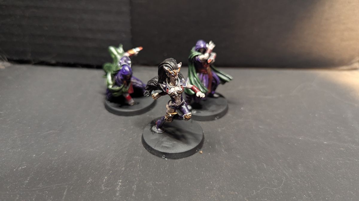 Witch Elf and Assassins