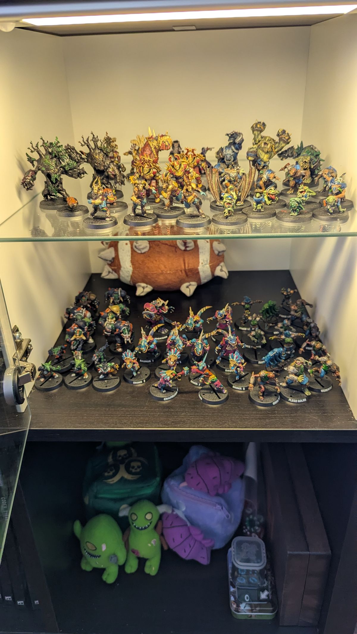 Blood Bowl Shelves