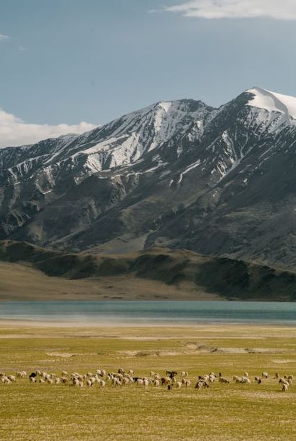 Zanskar Valley: A Road Trip to the Hidden Himalayan Kingdom - 4