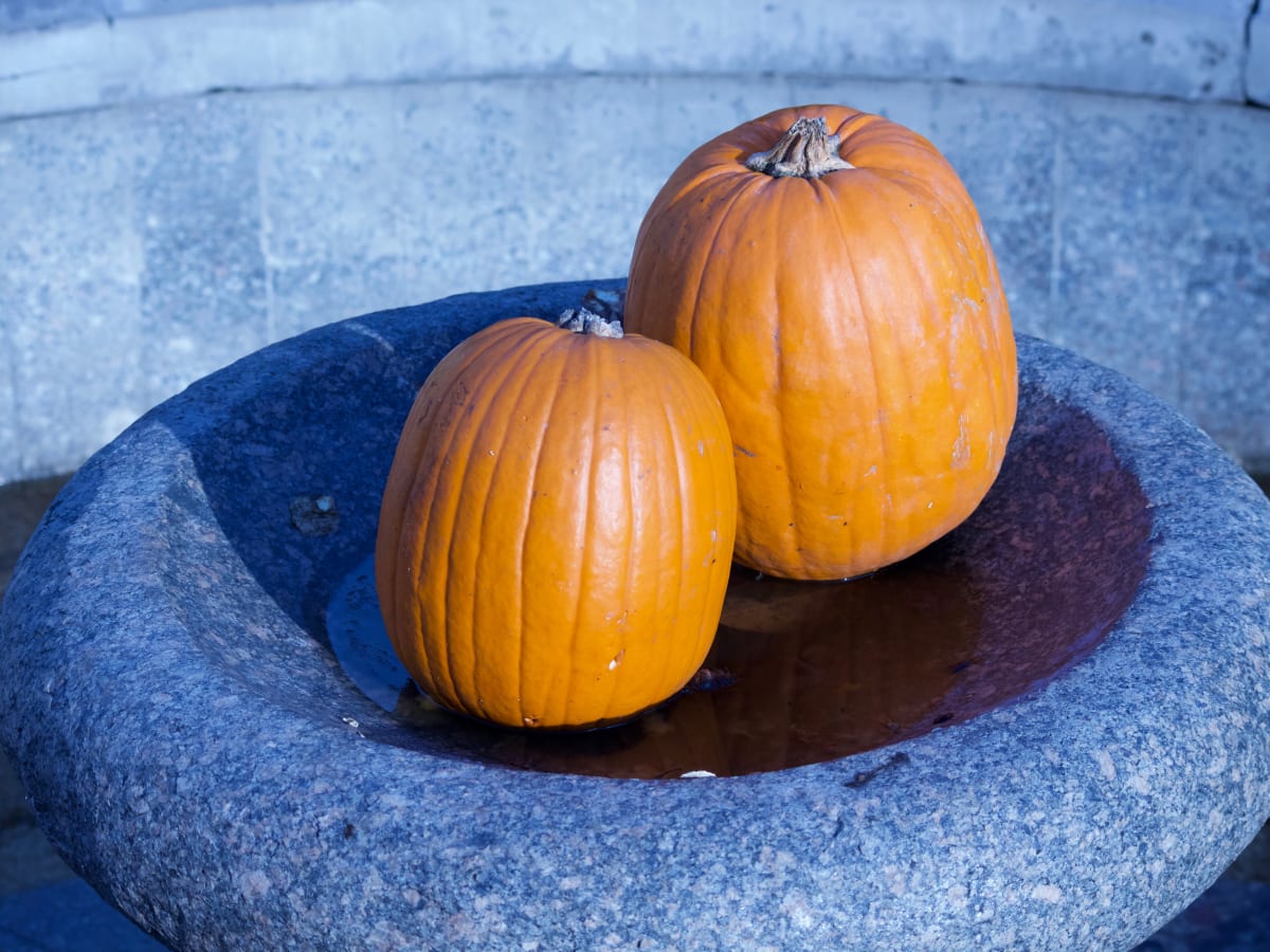 Zdjęcie Dyniowe curry z kurczakiem