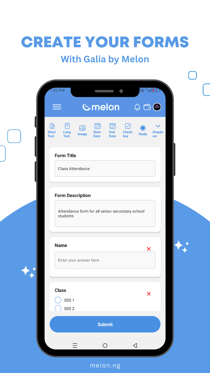 Mobile App Interface