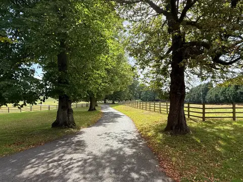 Long driveway to the main hotel