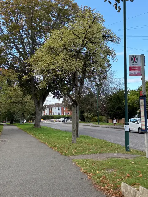 Convenient Bus stop right outside 