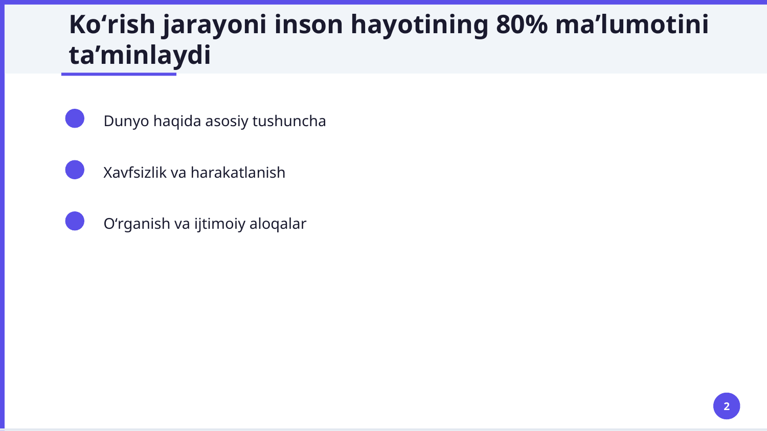 Analizatorlar: koʻrish organlarining tuzilshini urganish — Slayd 2