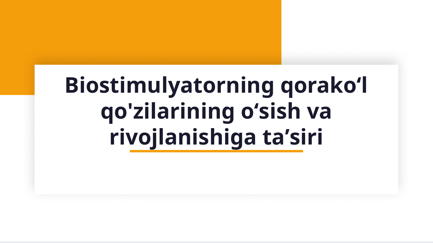 Biostimulyatorni qorakoʻl qo'zilarining oʻsish va rivojlanishiga taʼsiri — Slayd 1