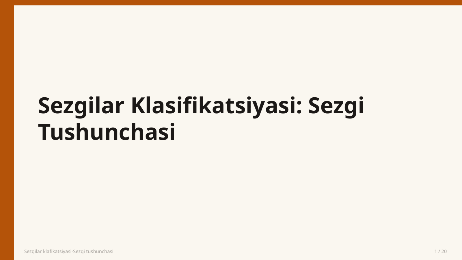 Sezgilar klafikatsiyasi-Sezgi tushunchasi — Slayd 1