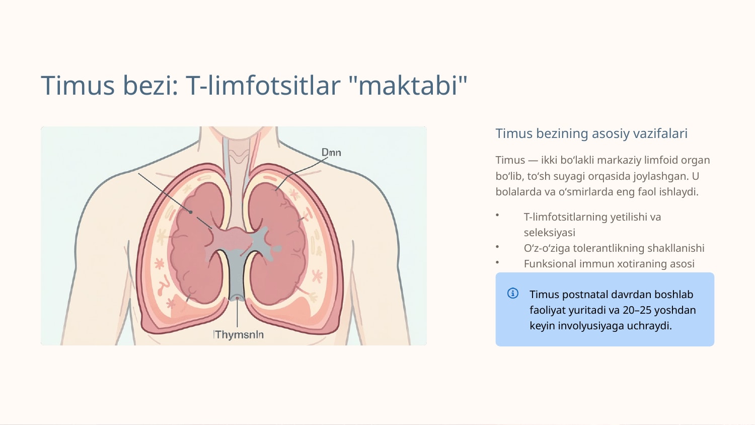 Timusdagi T-limfotsitlarning yetilish jarayoni (antigenga bogʻliq boʻlmagan immunogenez) — Slayd 2