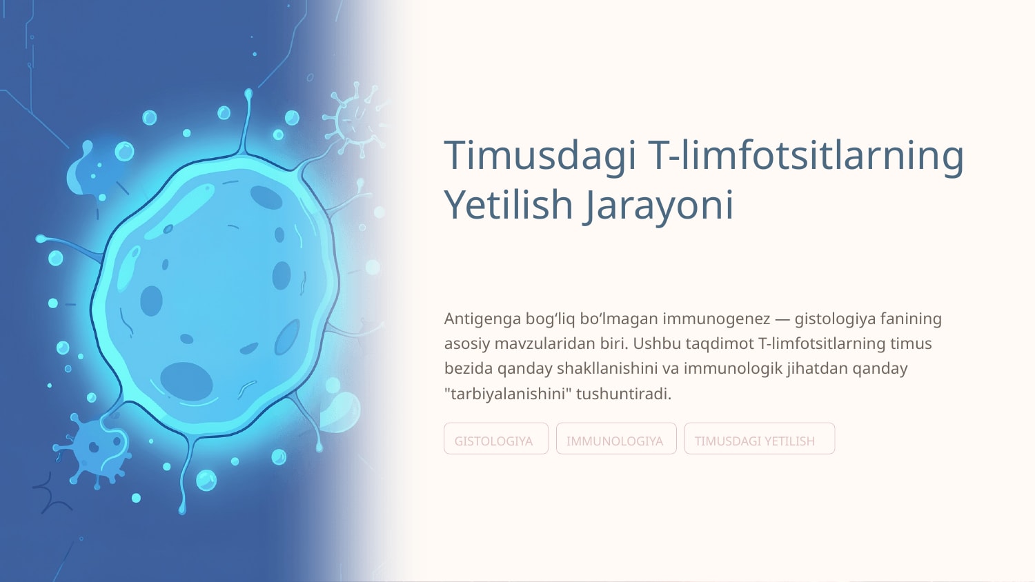 Timusdagi T-limfotsitlarning yetilish jarayoni (antigenga bogʻliq boʻlmagan immunogenez) — Slayd 1