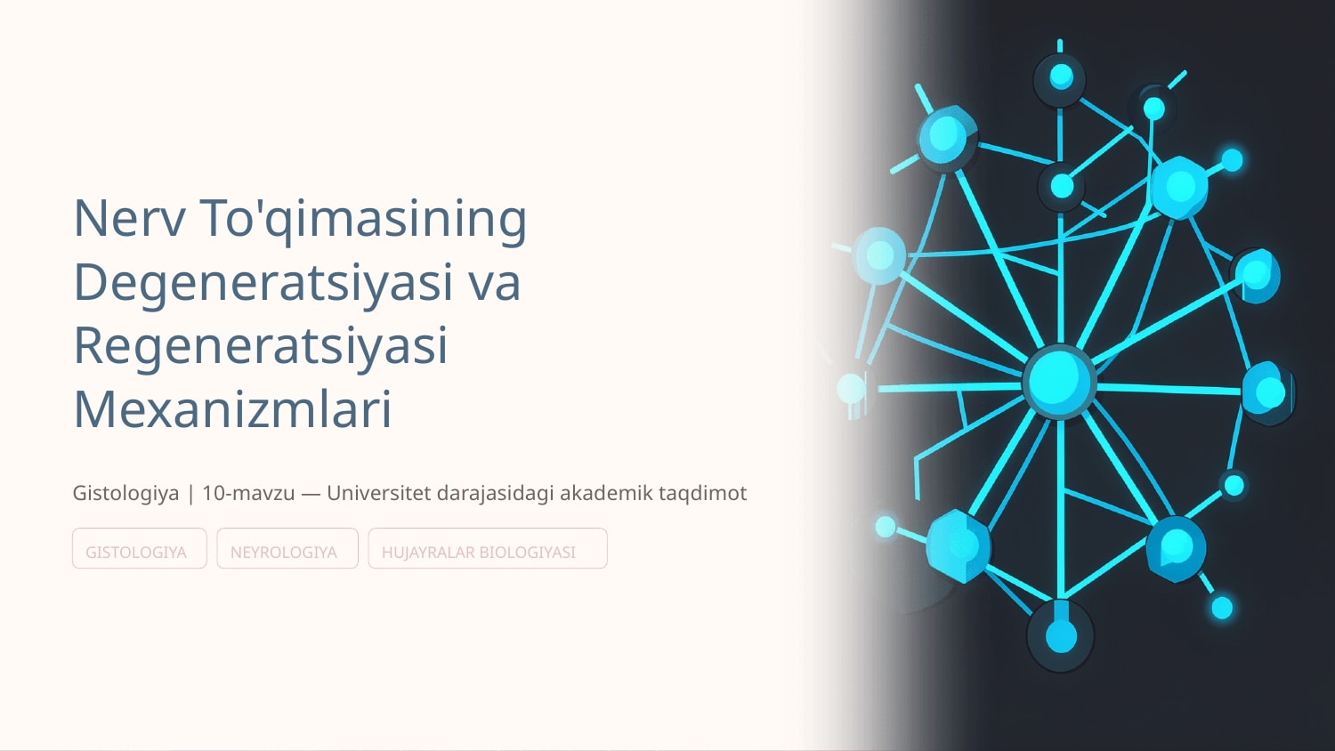 10.Nerv to’qimasining  degeneratsiyasi va  regeneratsiyasi  mexanizmlari — Slayd 1