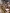 blur Assorted Office 