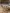 blur Assorted Proton Therapy Lot