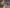 blur Assorted Lab