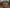blur (5) Carts 