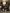 blur (18) Assorted CPU's (Hard Drives Removed)