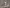 blur Assorted Lab 