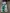 blur Assorted Lab