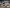 blur (1) Leica EM UC6 Ultramicrotome