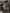 blur (1) Bunn Coffee Brewer With (1) Starbucks Coffee Dispenser