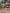 blur Assorted Lab