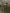 blur (74+) CPU's, No Hard Drives
