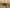 blur (1) Wooden Desk
