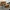blur Furniture Lot
