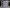 blur 105 Cases of Medium Synguard Nitrile Exam Gloves (Expire)