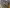 blur Assorted Lab