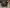 blur (13) Assorted Computers (HARD DRIVES REMOVED)