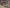 blur Assorted Projection
