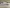 blur Korr ReeVue RMR Calorimeter