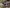 blur (1) Gast 71R142 Compressor