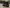 blur (33) Assorted Monitors