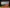 blur (1) 43" X 58" Vine Maple Trees Before Mount Hood by Terrill