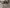 blur (1) Reliance ENT Treatment Cabinet