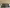 blur Surgical Instrument Lot #4713