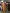 blur Assorted Bookshelves And Cabinets