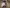 blur Assorted Lot