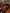 blur (1) Wooden Desk
