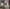 blur (5) Dell Laptops: 