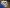 blur (1) Beckman Coulter Microfuge 20R Centrifuge