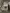blur (1) Ritter 222 Exam Table 
