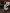 blur (16) Assorted Printers